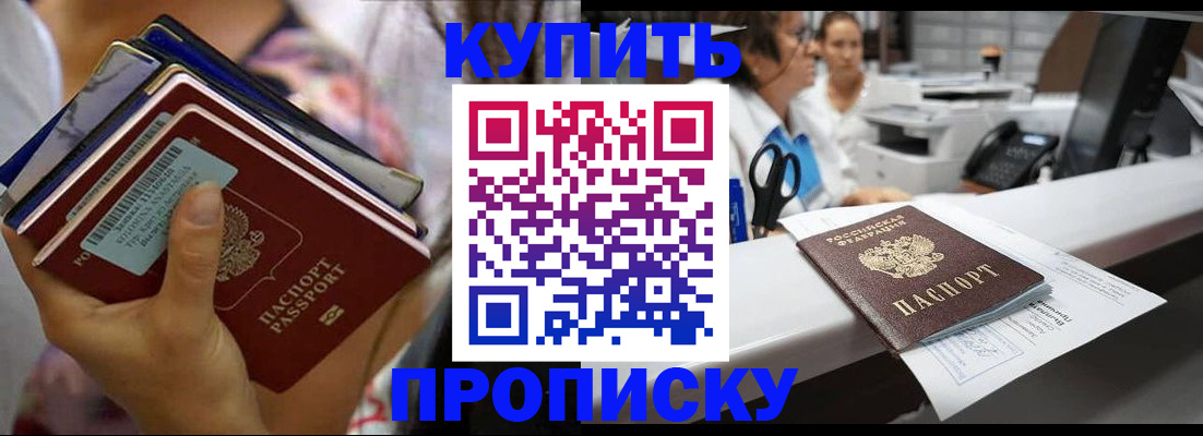 прописка для школы в Химках